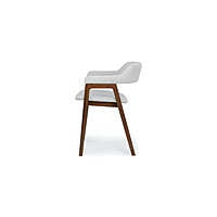 Puma Dining Chair Set Of 2